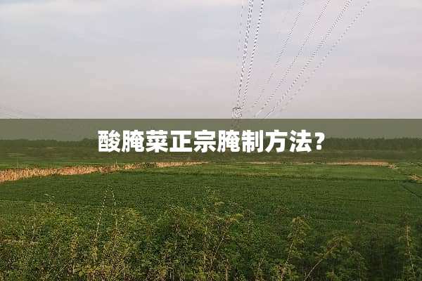 酸腌菜正宗腌制方法？