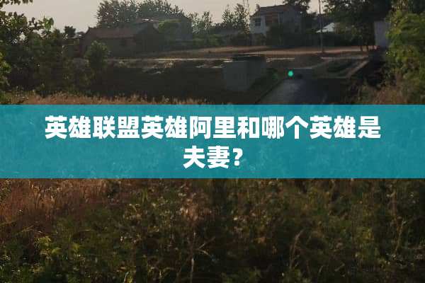 英雄联盟英雄阿里和哪个英雄是夫妻？