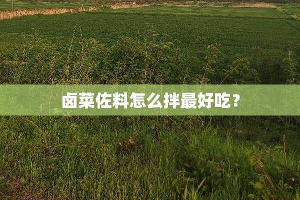 卤菜佐料怎么拌最好吃？
