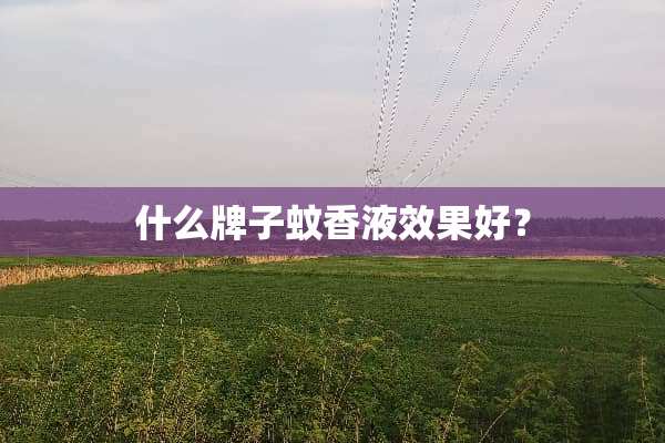 什么牌子蚊香液效果好？