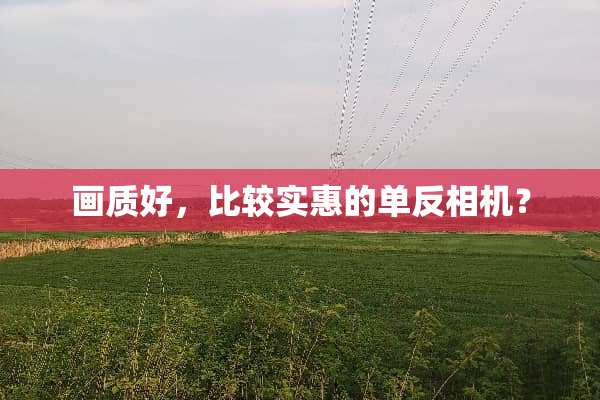 画质好，比较实惠的单反相机？