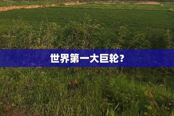 世界第一大**？