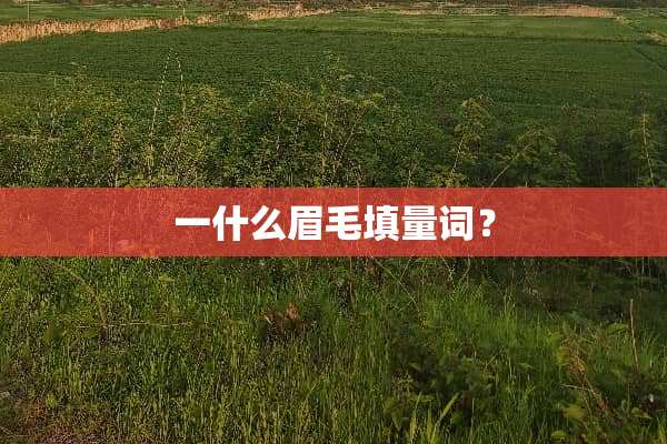 一什么眉毛填量词？