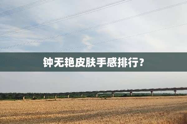 钟无艳皮肤手感排行？