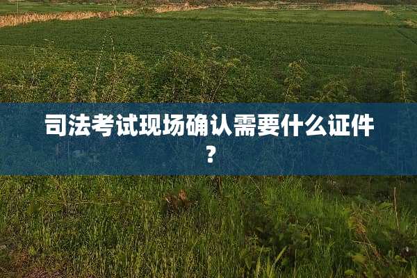 司法考试现场确认需要什么**？