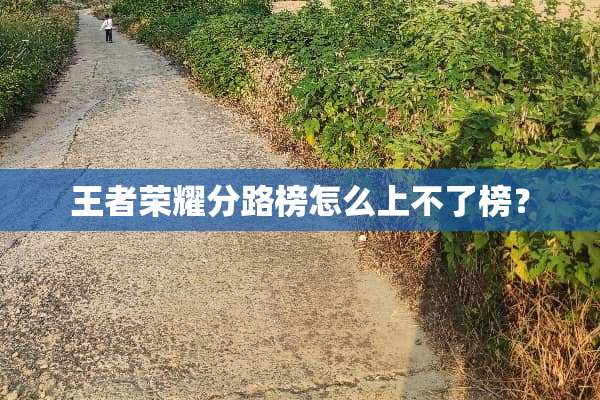 王者荣耀分路榜怎么上不了榜？