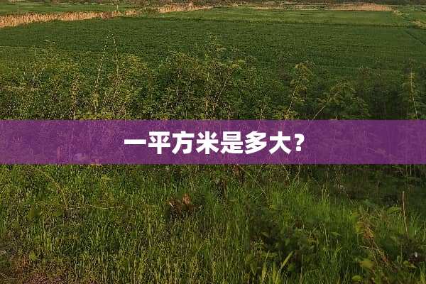一平方米是多大？