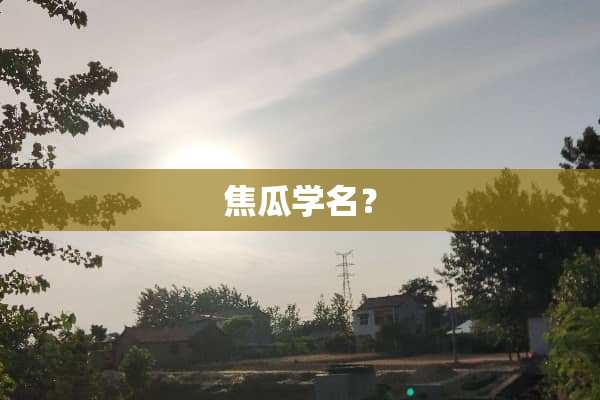 焦瓜学名？