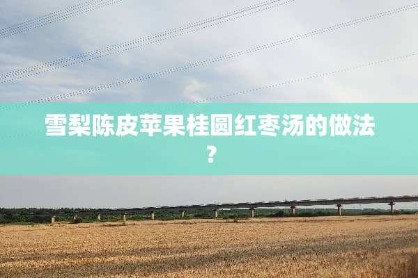 雪梨陈皮苹果桂圆红枣汤的做法？