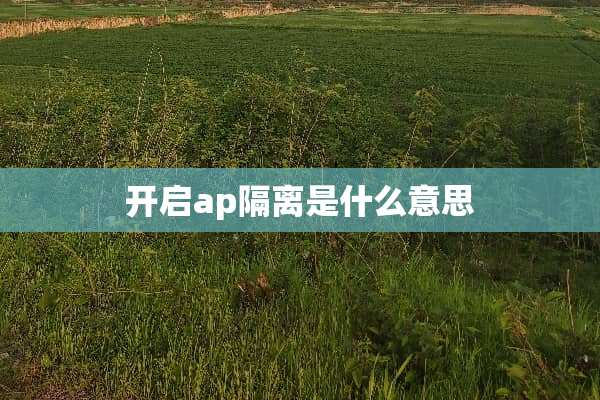 开启ap隔离是什么意思
