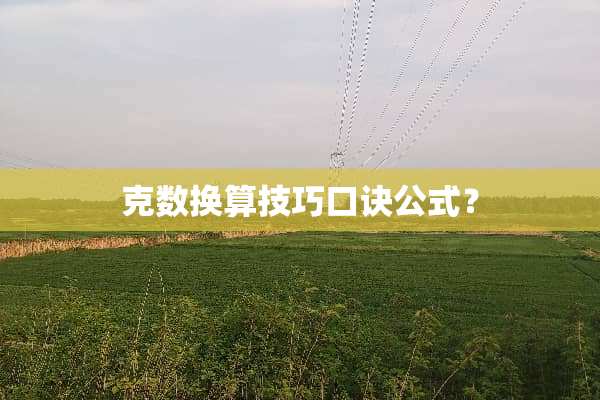 克数换算技巧口诀公式？