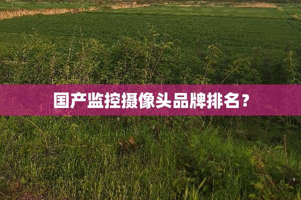 国产监控**头品牌排名？