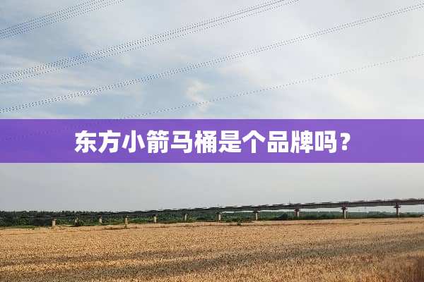 东方小箭马桶是个品牌吗？