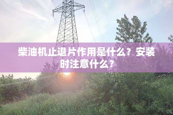柴油机止退片作用是什么？安装时注意什么？