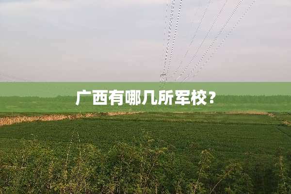 广西有哪几所军校？