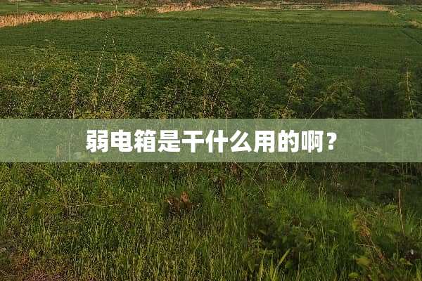 弱电箱是干什么用的啊？