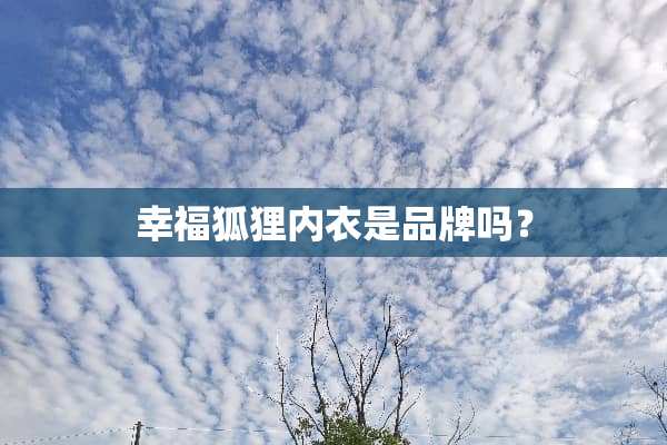 幸福狐狸**是品牌吗？