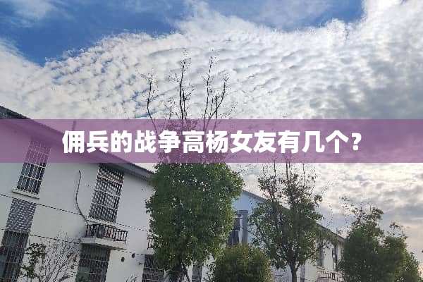 佣兵的战争高杨女友有几个？