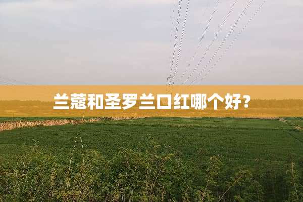 兰蔻和圣罗兰口红哪个好？