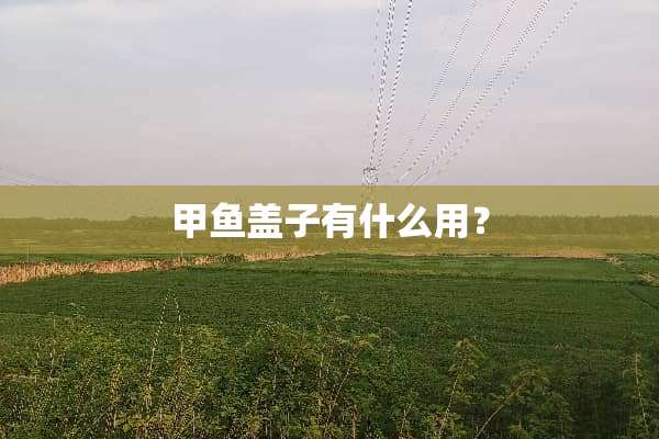 甲鱼盖子有什么用？