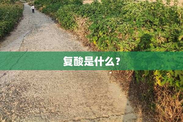 复酸是什么？
