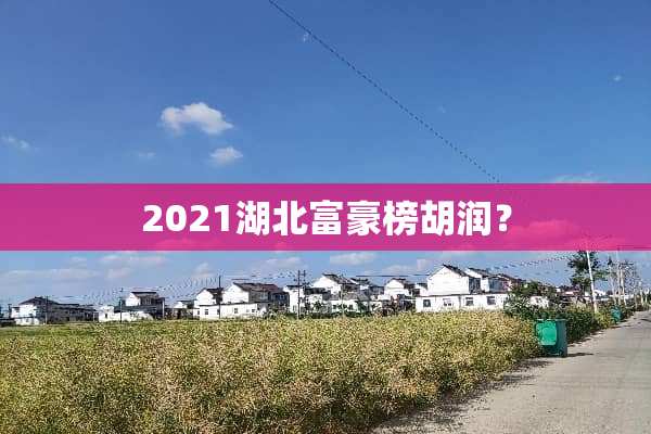2021湖北富豪榜胡润？