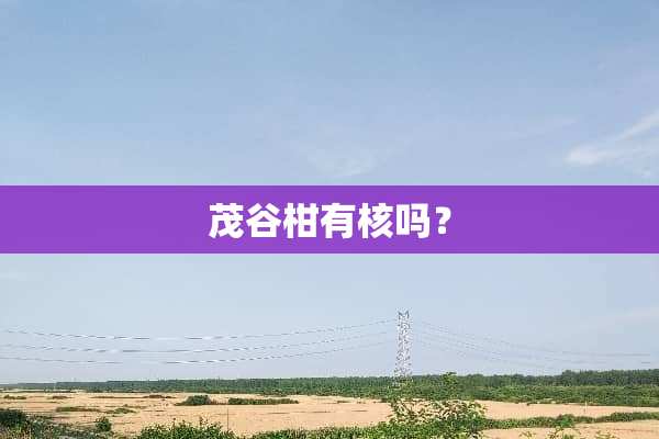茂谷柑有核吗？