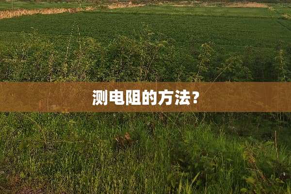 测电阻的方法？