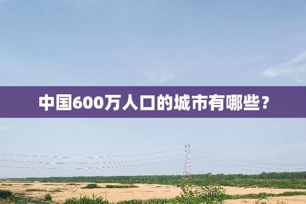 中国600万人口的城市有哪些？