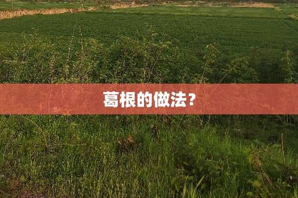 葛根的做法？