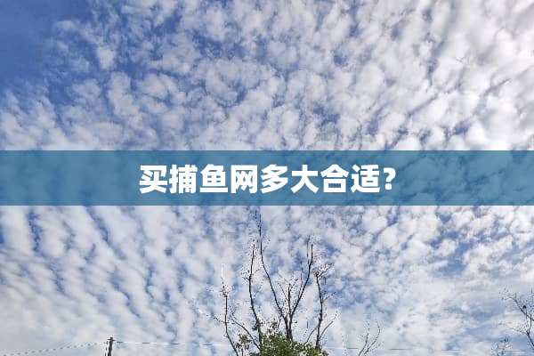 买捕鱼网多大合适？