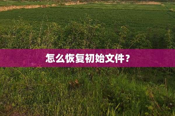 怎么恢复初始文件？