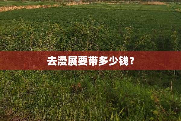 去漫展要带多少钱？