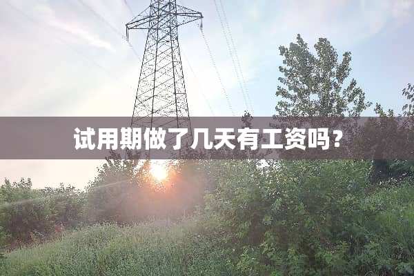 试用期做了几天有工资吗？