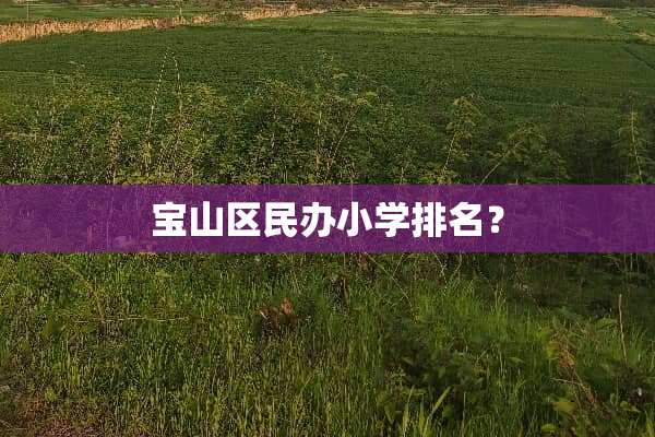 宝山区民办小学排名？