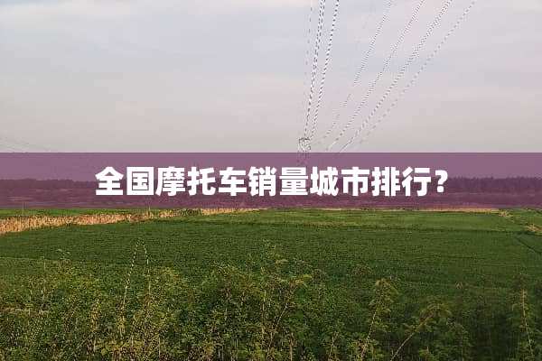 全国摩托车销量城市排行？