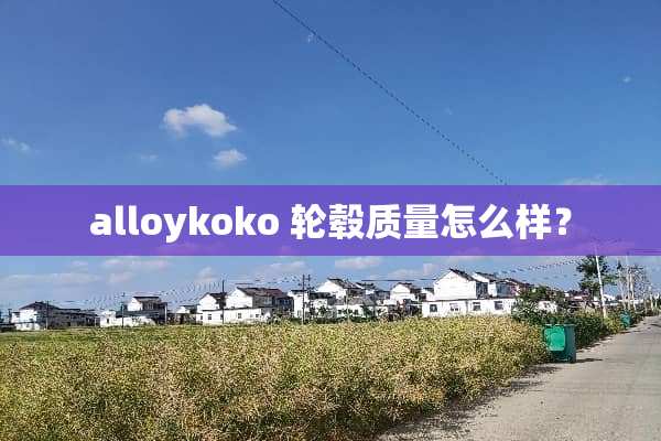 alloykoko 轮毂质量怎么样？