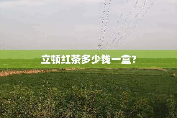立顿红茶多少钱一盒？