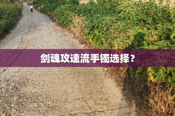剑魂攻速流手镯选择？