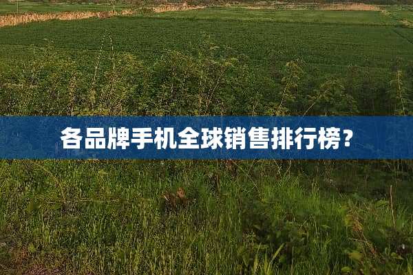 各品牌手机全球销售排行榜？