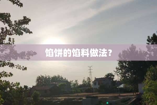 馅饼的馅料做法？