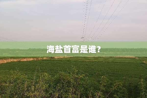海盐首富是谁？