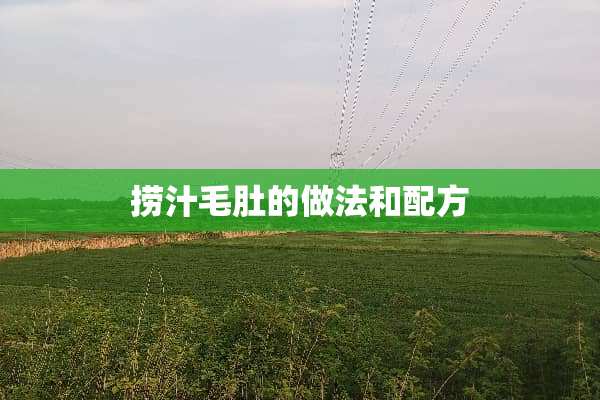 捞汁毛肚的做法和配方