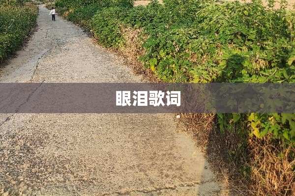 眼泪歌词