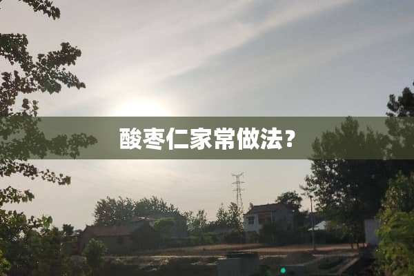 酸枣仁家常做法？