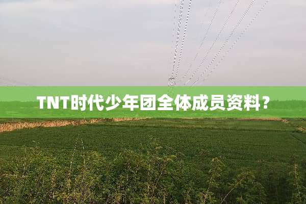 TNT时代少年团全体成员资料？