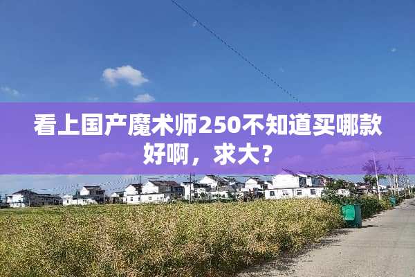 看上国产魔术师250不知道买哪款好啊，求大？