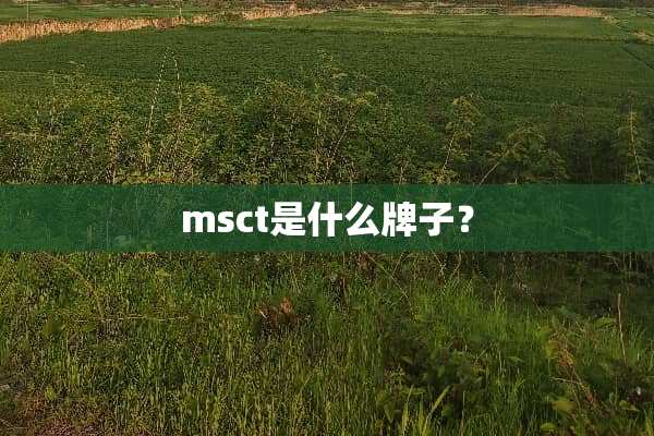 msct是什么牌子？