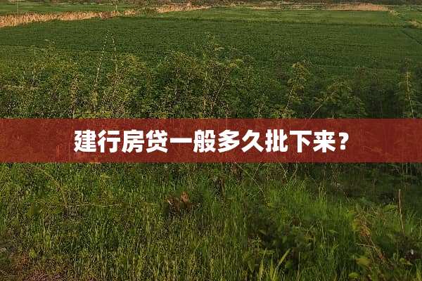 建**贷一般多久批下来？