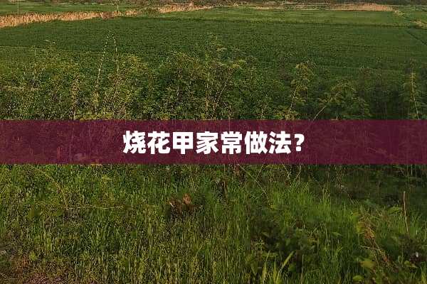 烧花甲家常做法？